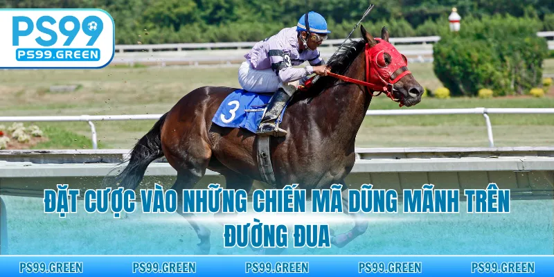 Đặt cược vào những chiến mã dũng mãnh trên đường đua